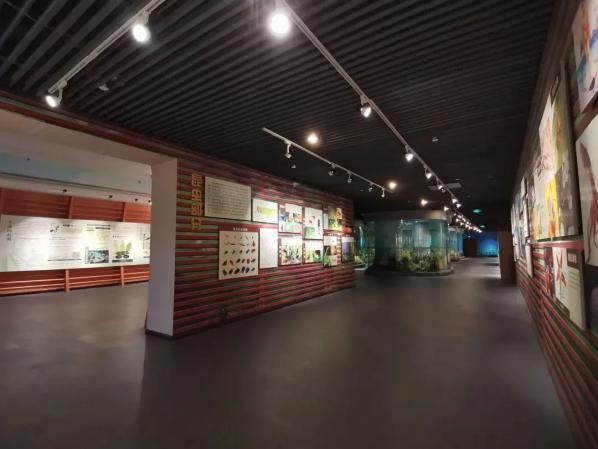 今年暑期，这3部电视剧超火，主角全部来自重庆这所高校！