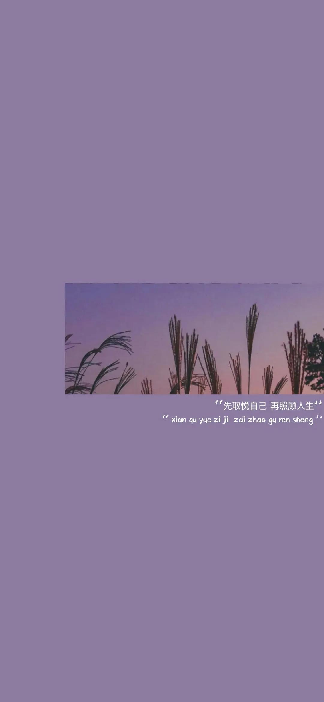 佛系写作，用取悦自己的文字，写自己想读的文章