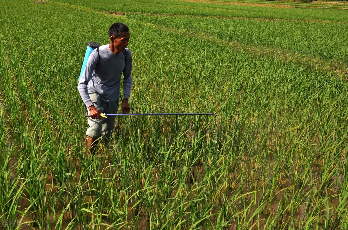 7月起，官方给农民发“2笔钱”，直发一卡通，3类农民领不到