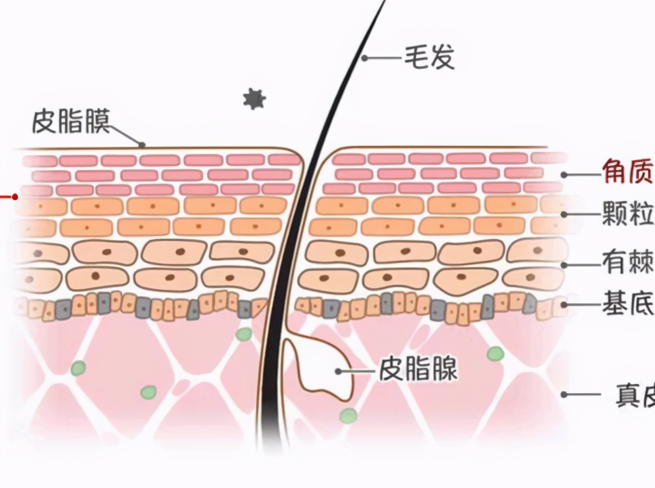 面膜一般什么时间贴效果最好