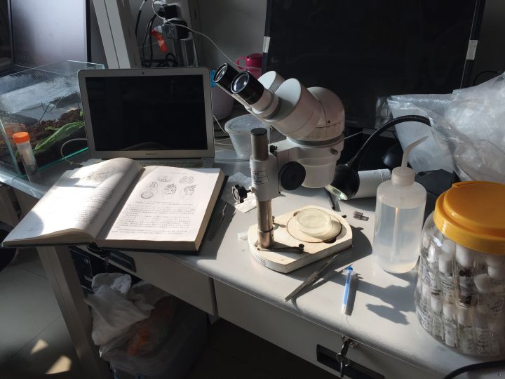 大学奇葩专业大汇总！母猪的产后护理简直弱爆了