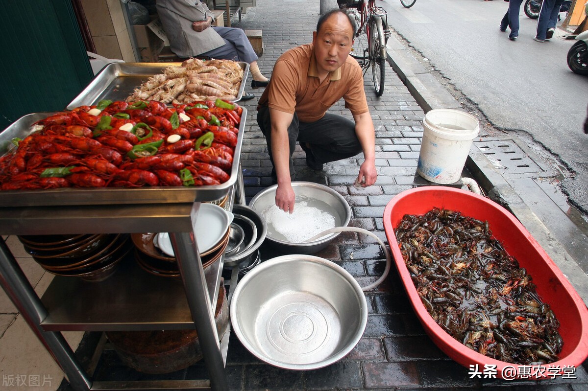现在小龙虾多少钱一斤？近期为何上涨？2021小龙虾后市行情预测