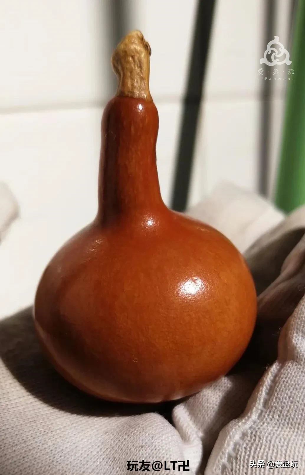 800块和3块的小葫芦,有啥区别?能盘出好看的包浆,都离不开它