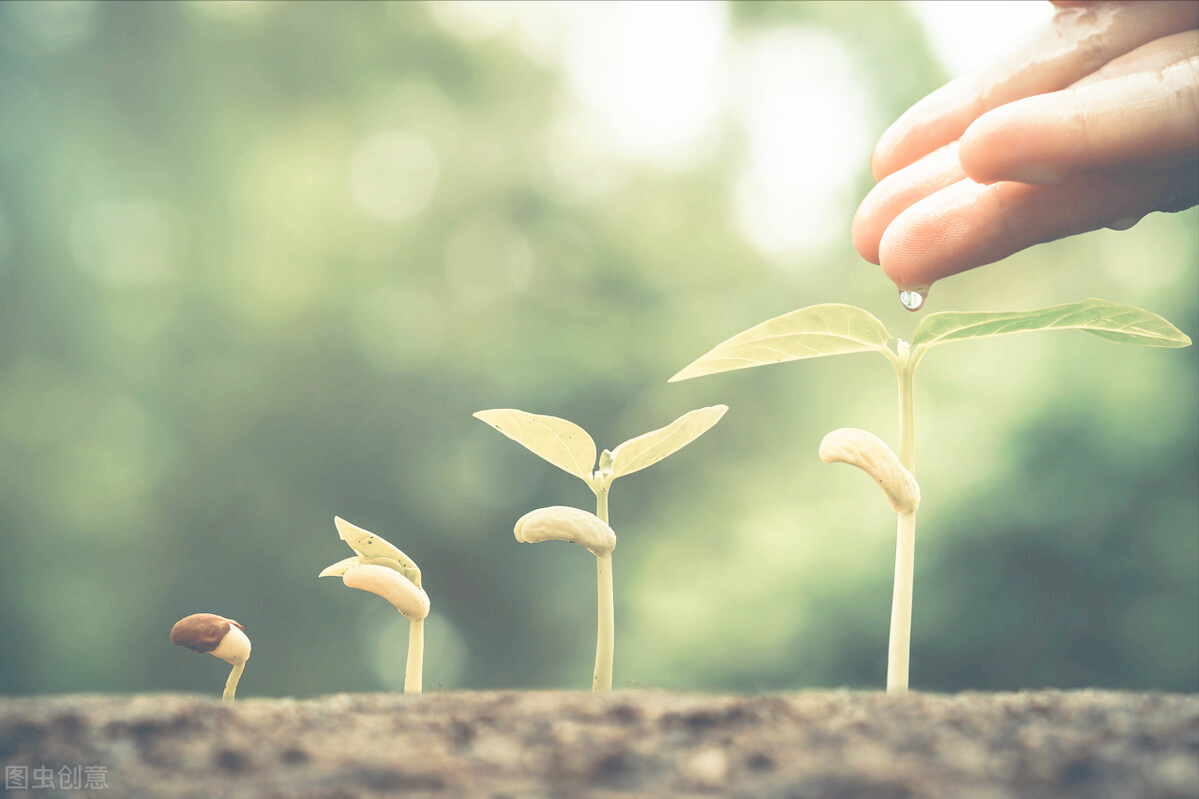 《成长的边界》|只有不设限的人生,才能拥有更多的可能