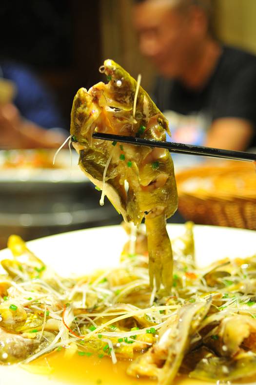 大武汉会吃鱼的老饕都爱这几家