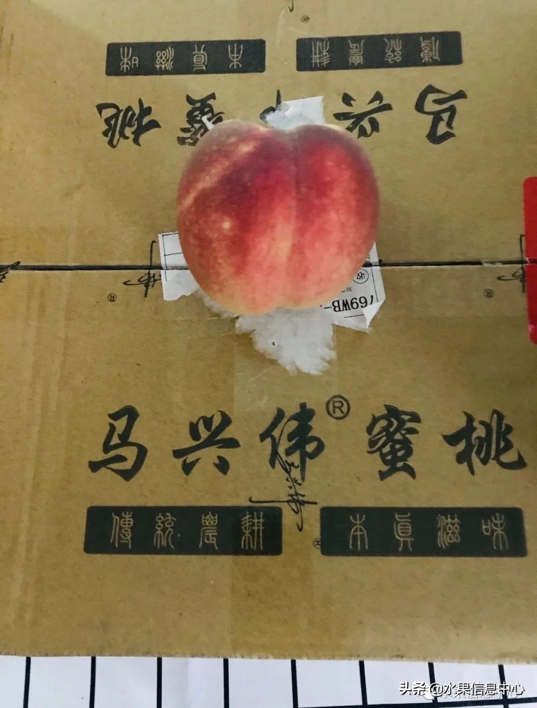 都想打品牌卖水果，什么样的水果品牌让人过目不忘？