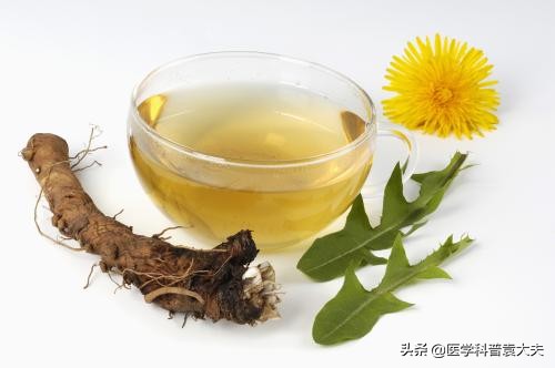 蒲公英功效有哪些（盘点食用蒲公英的六大好处）