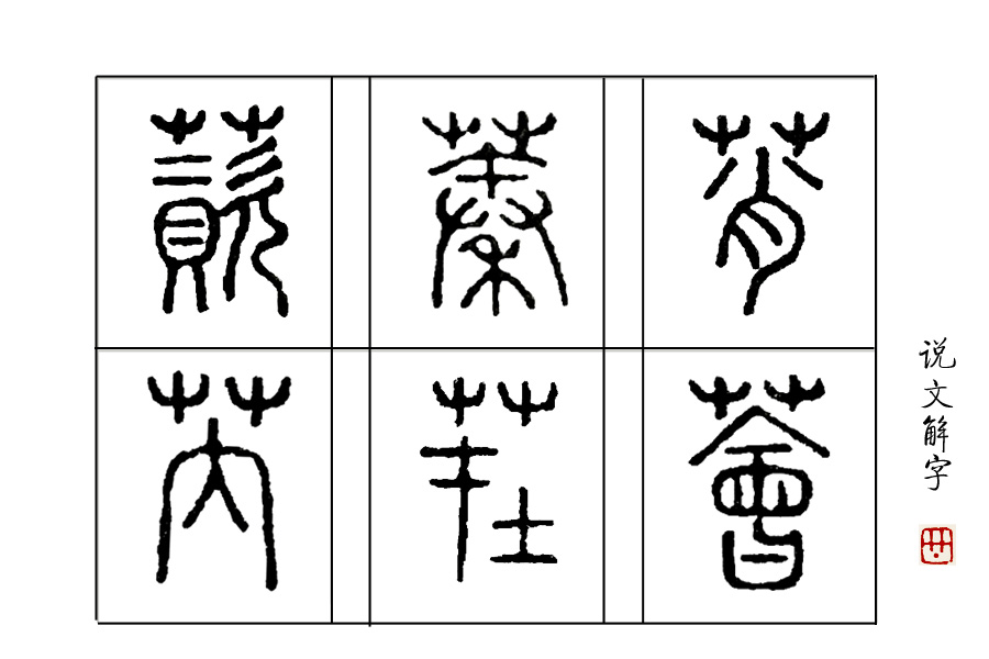 学汉字：《诗经》里“薈兮蔚兮，南山朝隮”里的“薈”是啥意思？