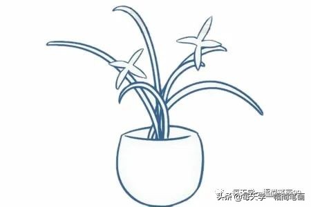 每天学一幅简笔画--兰花简笔画的画法步骤教程及图片大全