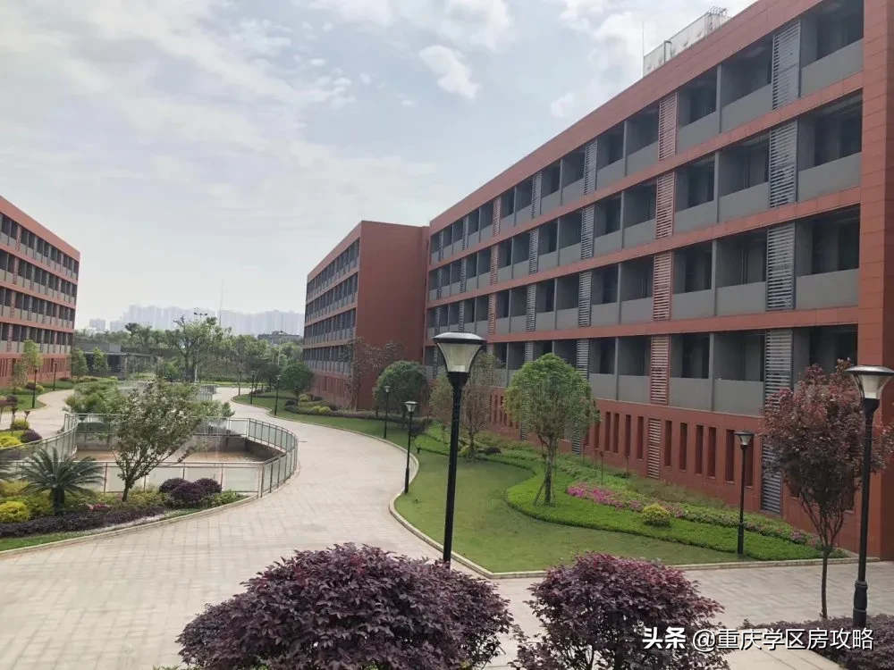 南岸区优质初中（下）