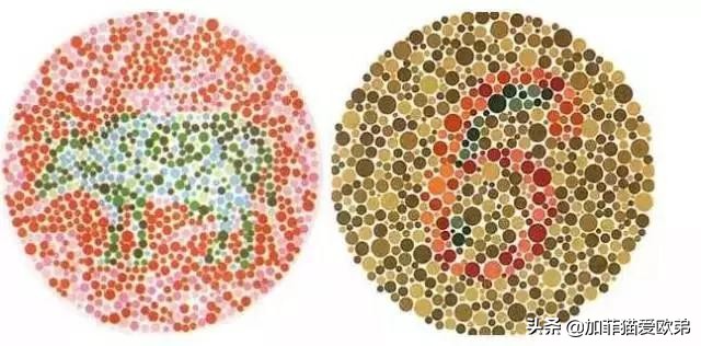 12张色盲色弱测试图，从简单到困难，看看你到第几层？