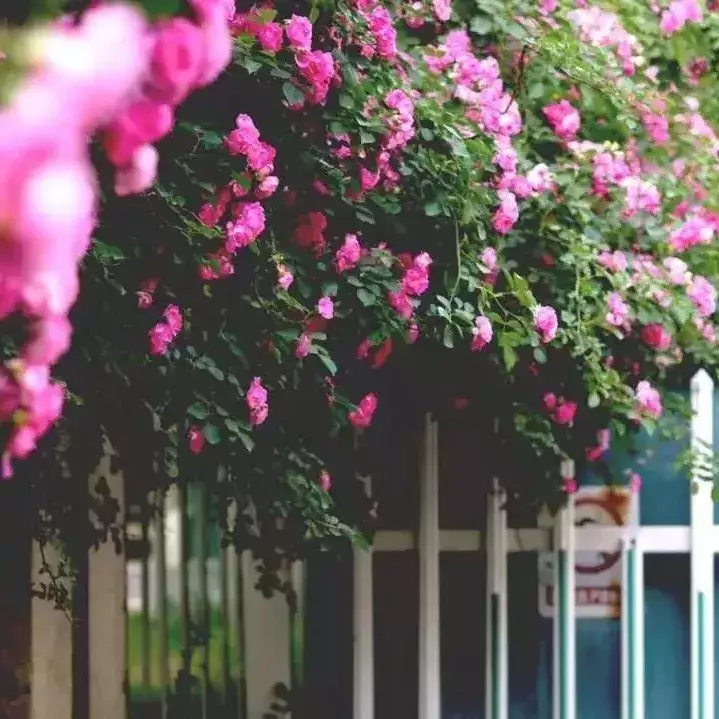 敲黑板！山东农业大学，性价比最高的选择