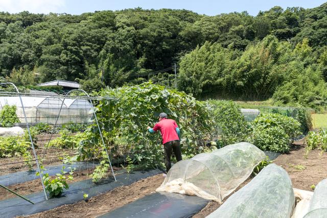 日本夫妻的简约别墅，全屋清新自然，这是远离都市的寂静小屋