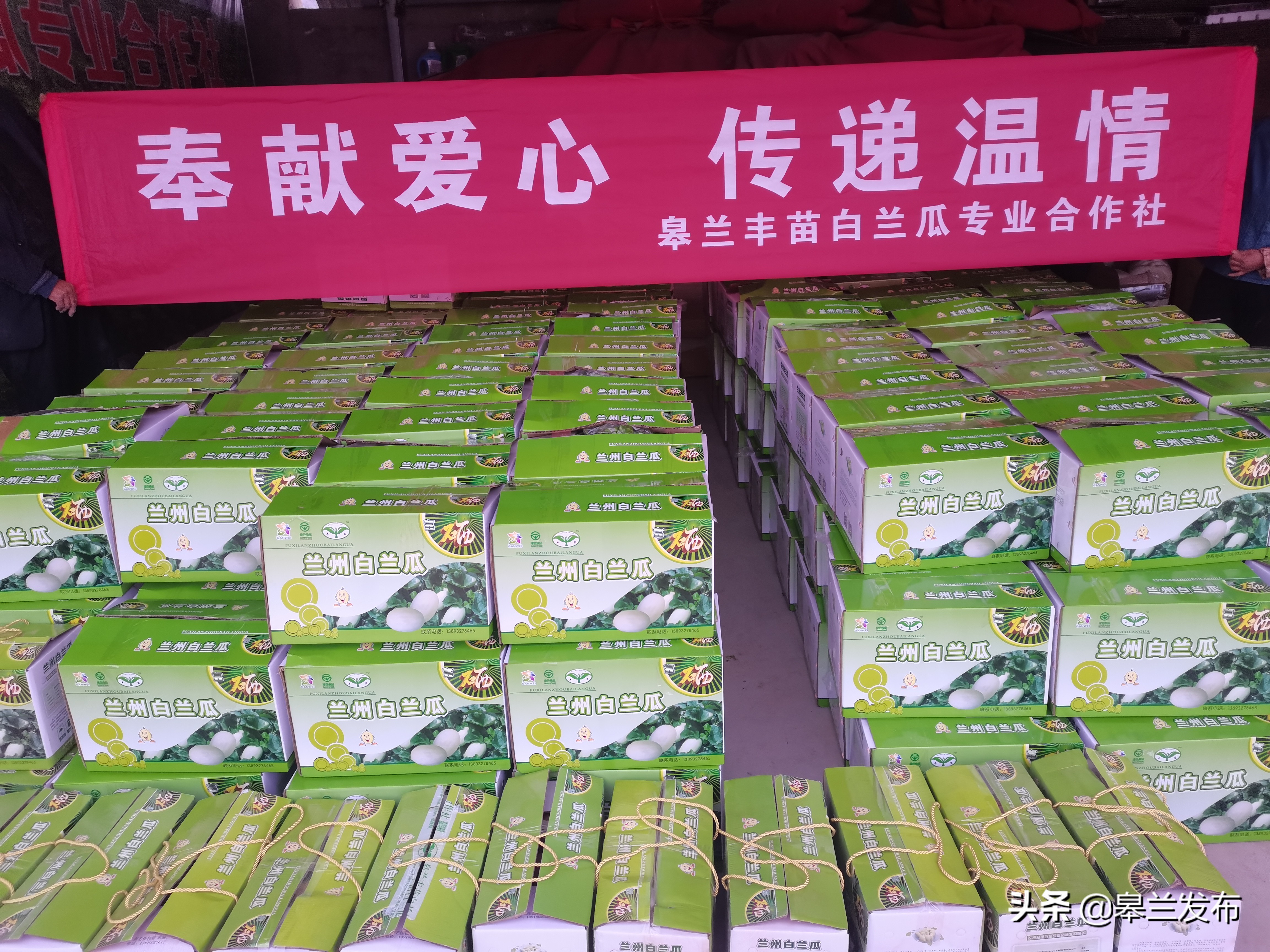 ��������ء���ͬ�ġ����� ����ʱ�� ��������Ӫ��ҵ����������Ӯ����������ս