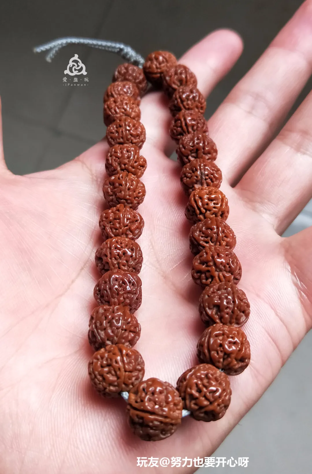 金刚多少钱(金刚砂多少钱一平米)-我的快乐小窝