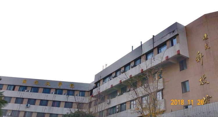 30年重回母校，深情切切，可喜新颜——河大老校区随拍