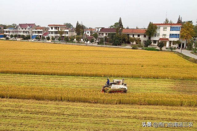 农村土地有偿永久性退出试点村，一亩承包地给3万，你愿意退吗？