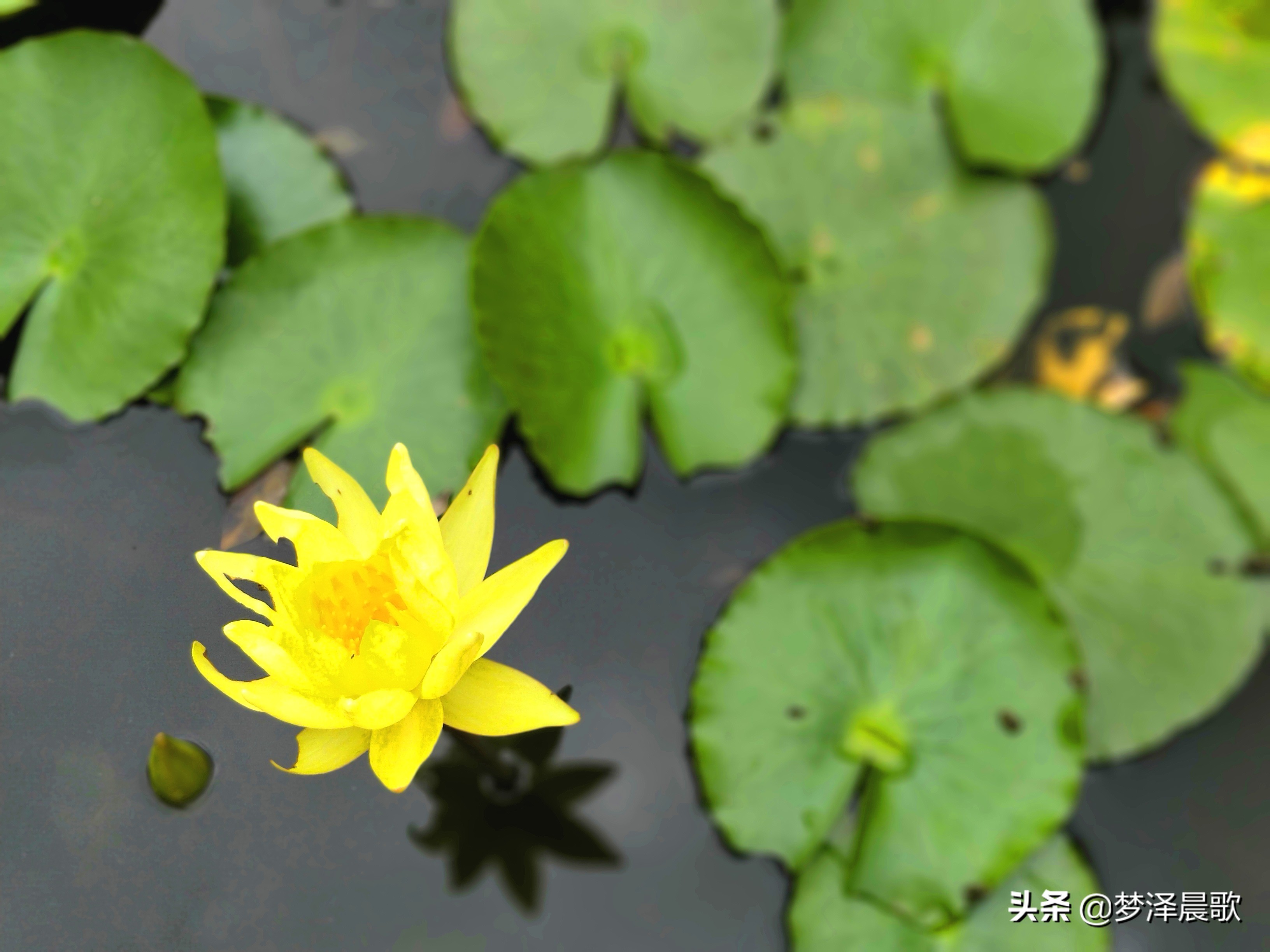 美丽校园“广州大学”