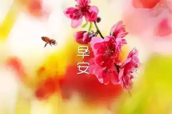 早安心语：人各有志，自己的路自己走