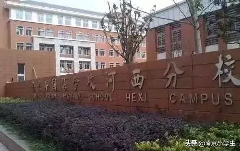 超全南京13所民办小学解析!你最关心哪一所?
