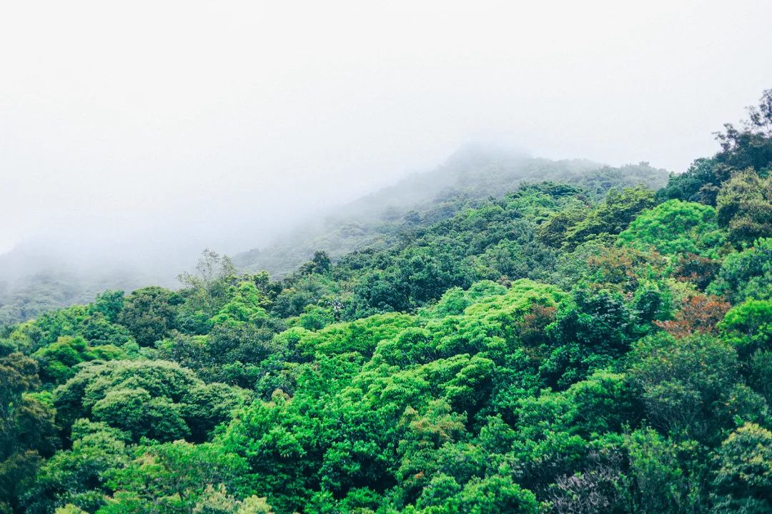 深圳值得征服的10座山，你去过几座？