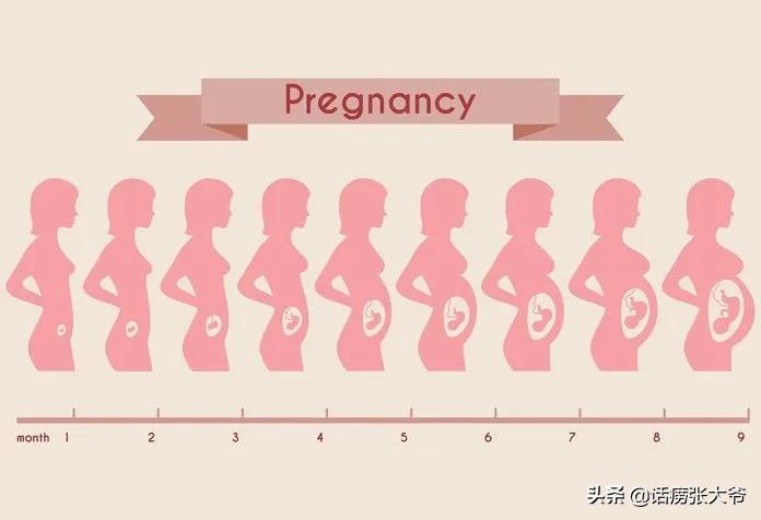 怀孕29周胎儿发育情况 1至40周胎儿发育过程图