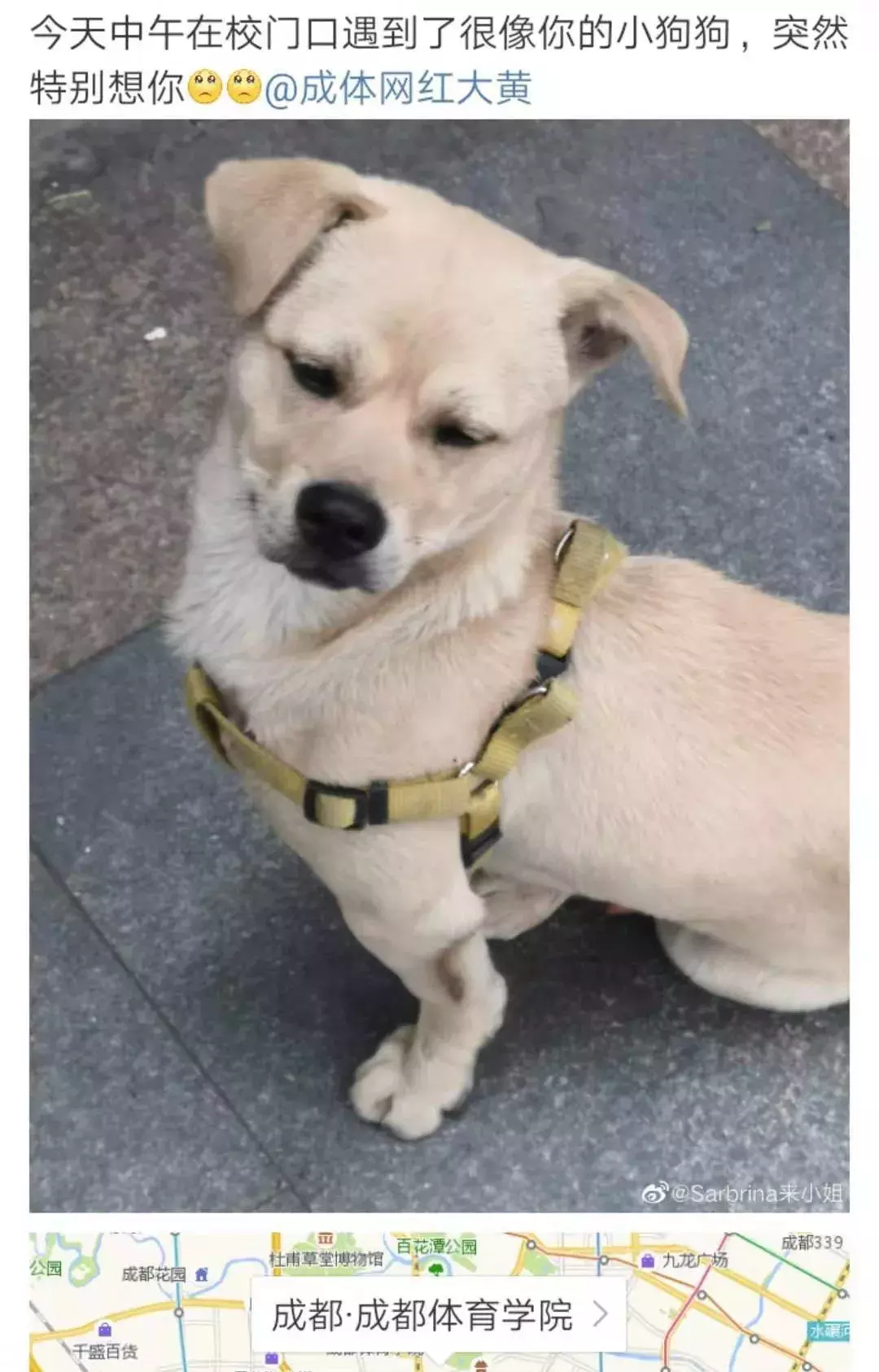 成都体院的二三事