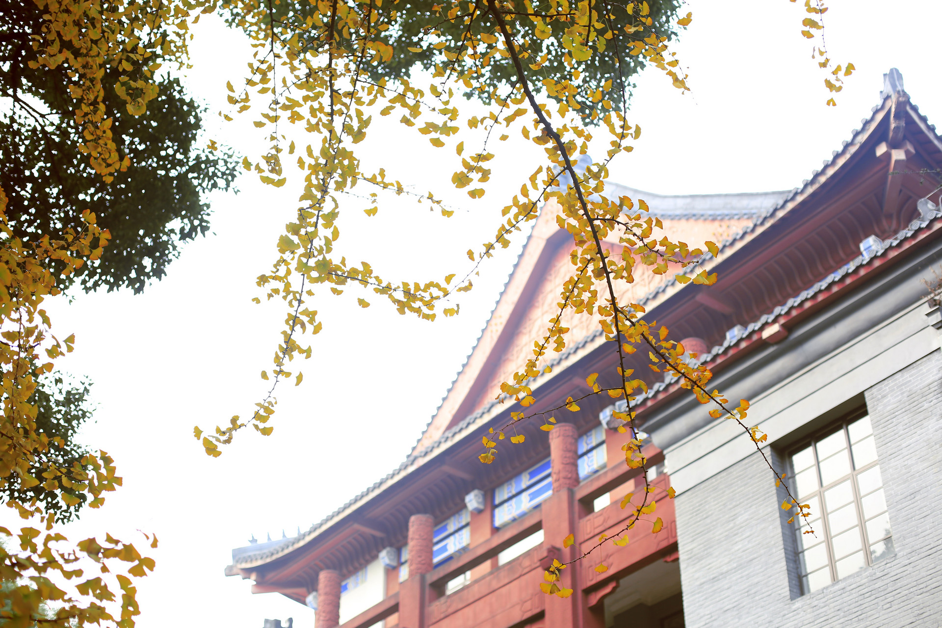 2019年湖北普通专升本电子商务等经管类专业招生院校招考概况