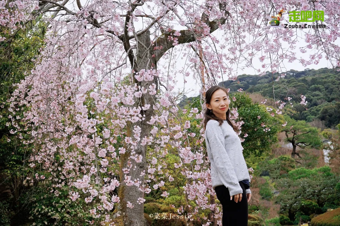 从顶级会计事务所到个人工作室，她把平凡的生活过成诗