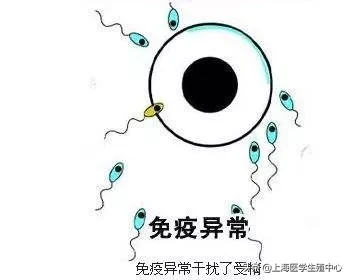 试管婴儿 | 对于不育不孕的患者,在什么情况下适合去做试管助孕?
