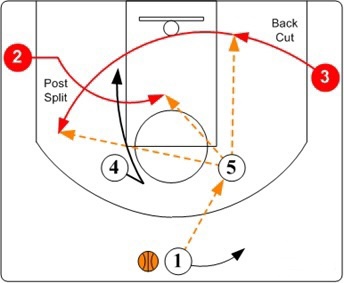 篮球为什么nba 比ncaa贵(放弃千万薪水也要辞职，大学篮球和NBA的差距没那么简单)