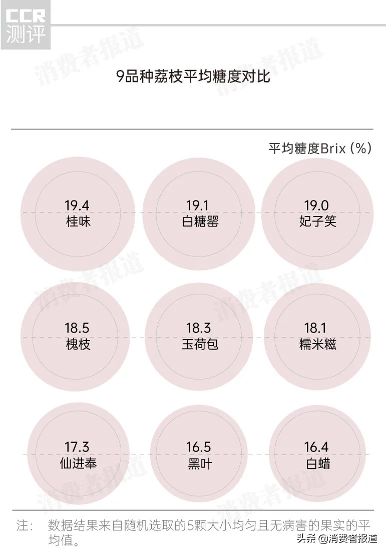9款荔枝对比测评：玉荷包、黑叶果核大；仙进奉、白糖罂受欢迎