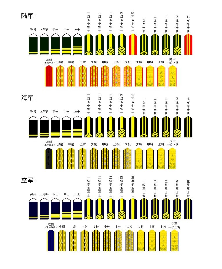 去除了专业军士和军士长下图为中国99式军衔肩章2007年,我军全面换装