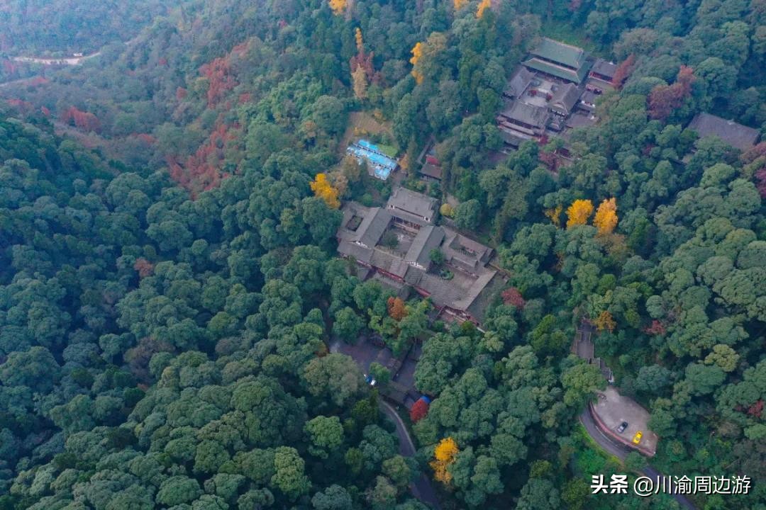 成都周边最后一波彩林，自驾最快1.5小时可到达，适合自驾1日游