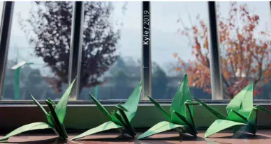 周至县特殊教育学校2020年秋季招生工作方案