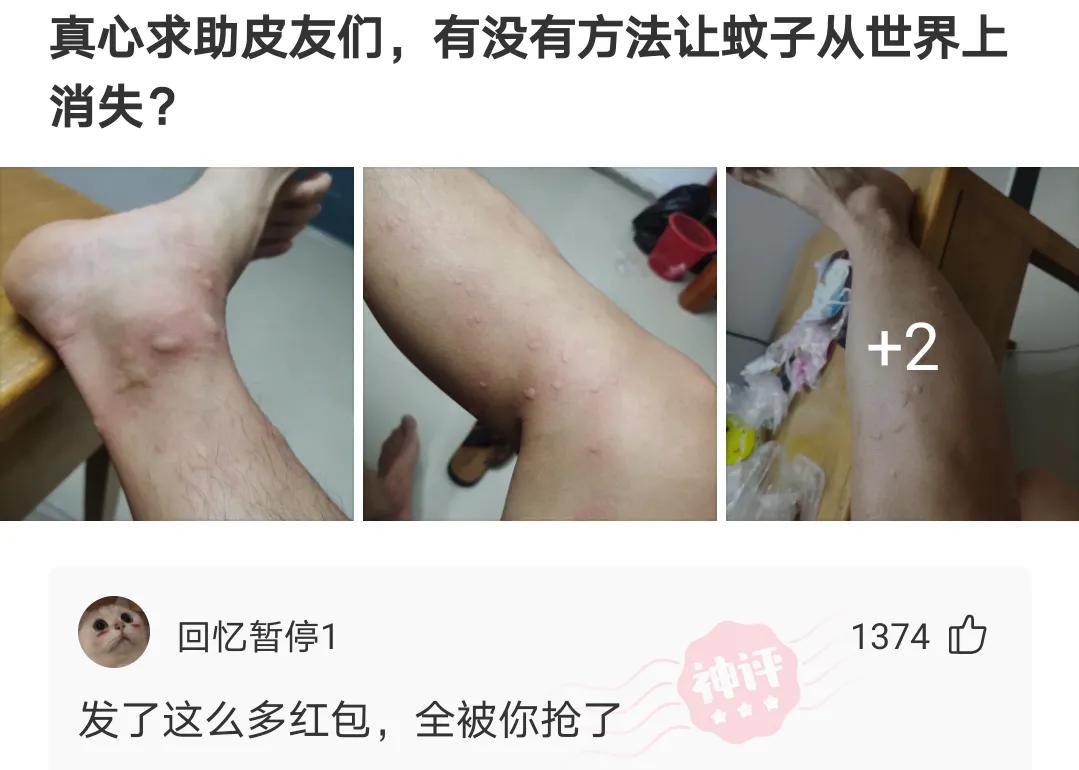 爆笑神评合集：广东打胎多少钱？一个月多点了，神评笑死我了