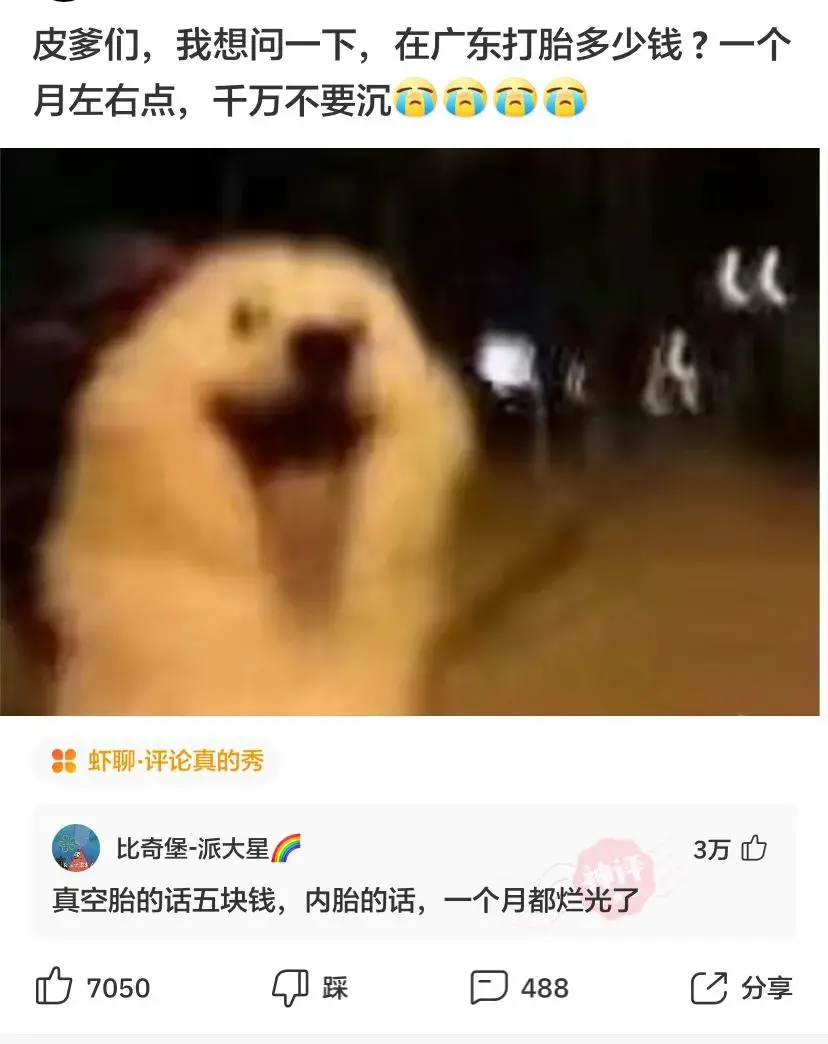 送前妻什么生日礼物好（送前妻什么礼物最好）