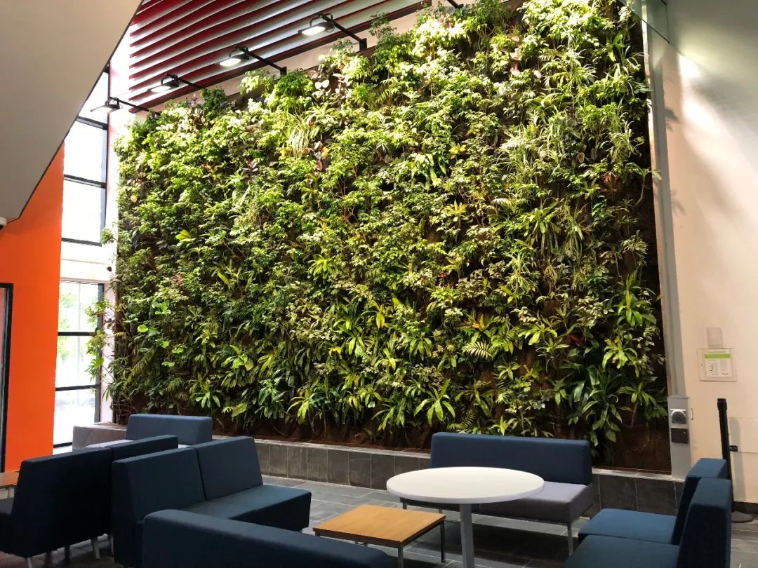 加拿大摄影专业（去加拿大读艺术）