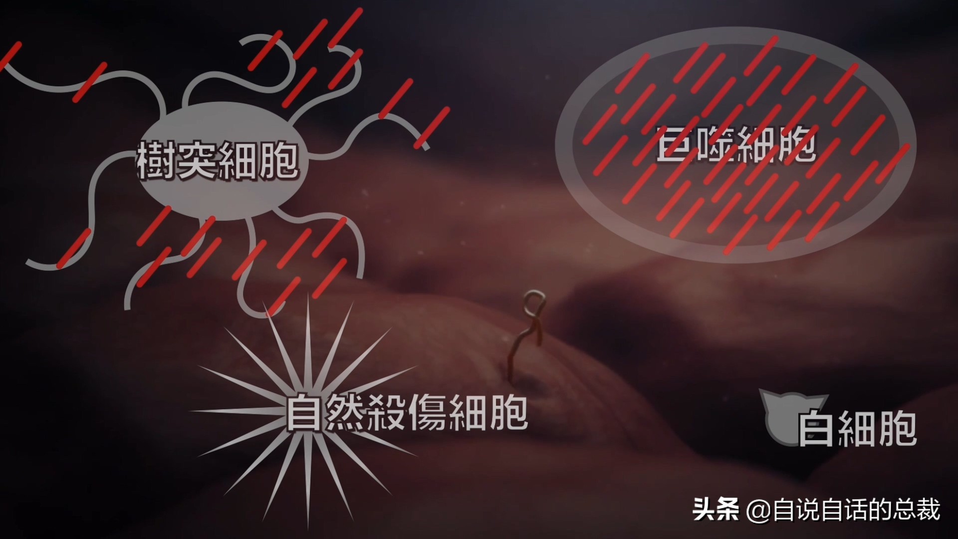 埃博拉：人类的诅咒，你的身体如何对抗它，它到底有多恐怖