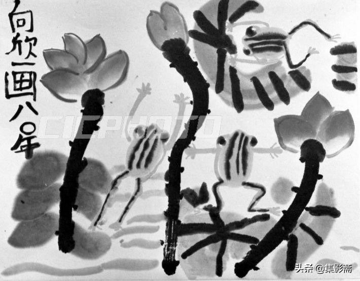 难得的重庆市各小学老照片