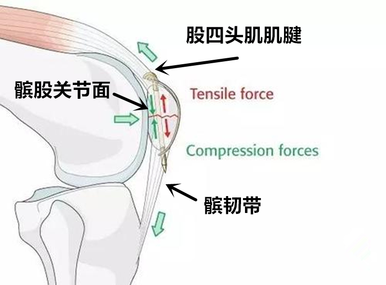 髌骨如果切除,还可以走路吗?结果可能您想不到