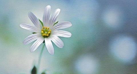 成年人最好的修养，就是“看别人顺眼”