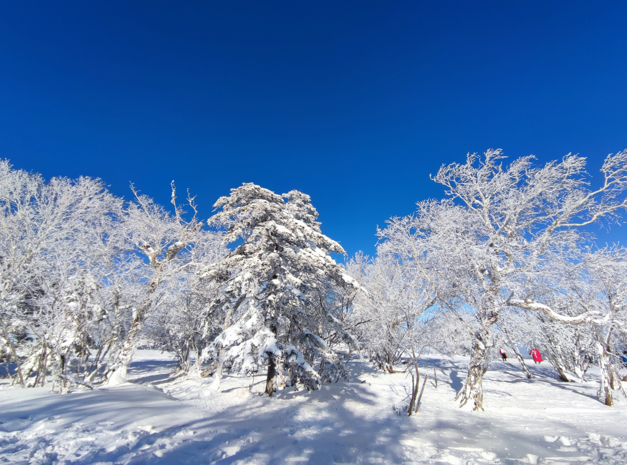 去雪乡要准备什么（亲身体验告诉你雪乡旅行需要做的准备）