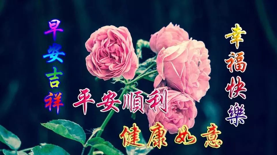 生活如茶，浓浓淡淡；生活如戏，哭哭笑笑，早安