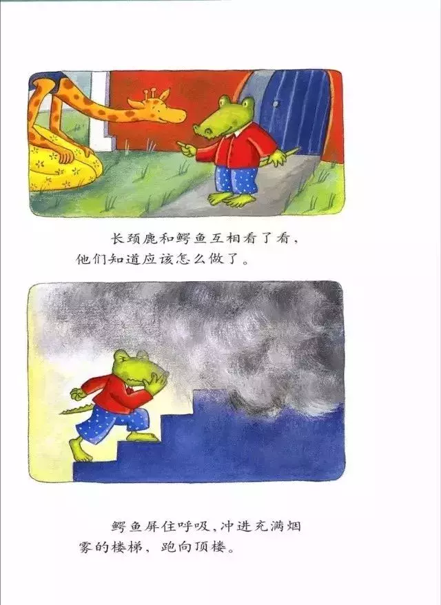 有声绘本:《天生一对》爱,也能为别人的生活带来惊喜