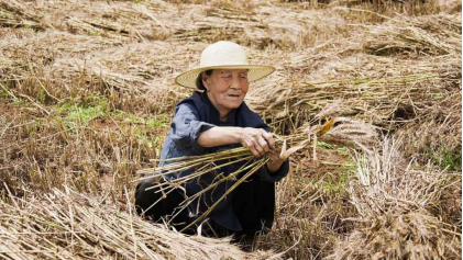 监管发文，惠民保恐怕昙花一现？