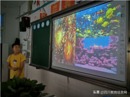 遂宁高级实验学校初中部语文课外阅读活动