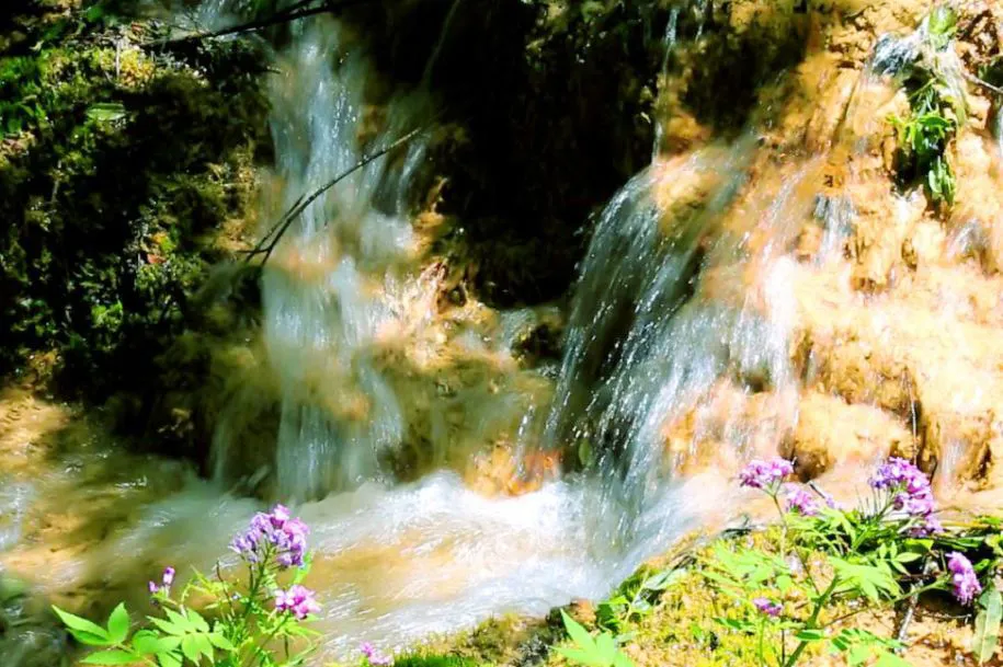 均温20℃！周边7个耍水宝地，冲浪滑水观瀑，最快1h清凉度夏