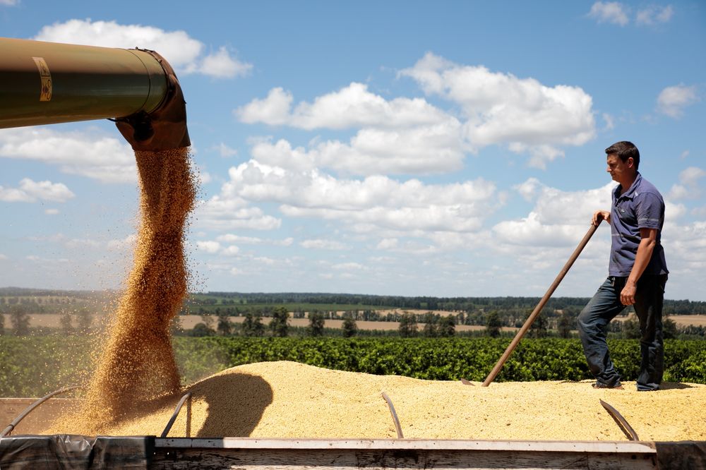 美国的大豆一亩能产多少斤？和中国相比，能高出多少斤？
