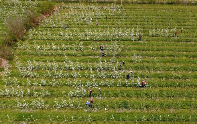 没想到，西北农林科技大学竟然有“两副面孔”